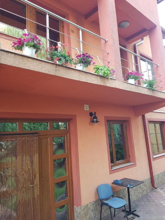 Vila Mario Galaţi Buitenkant foto